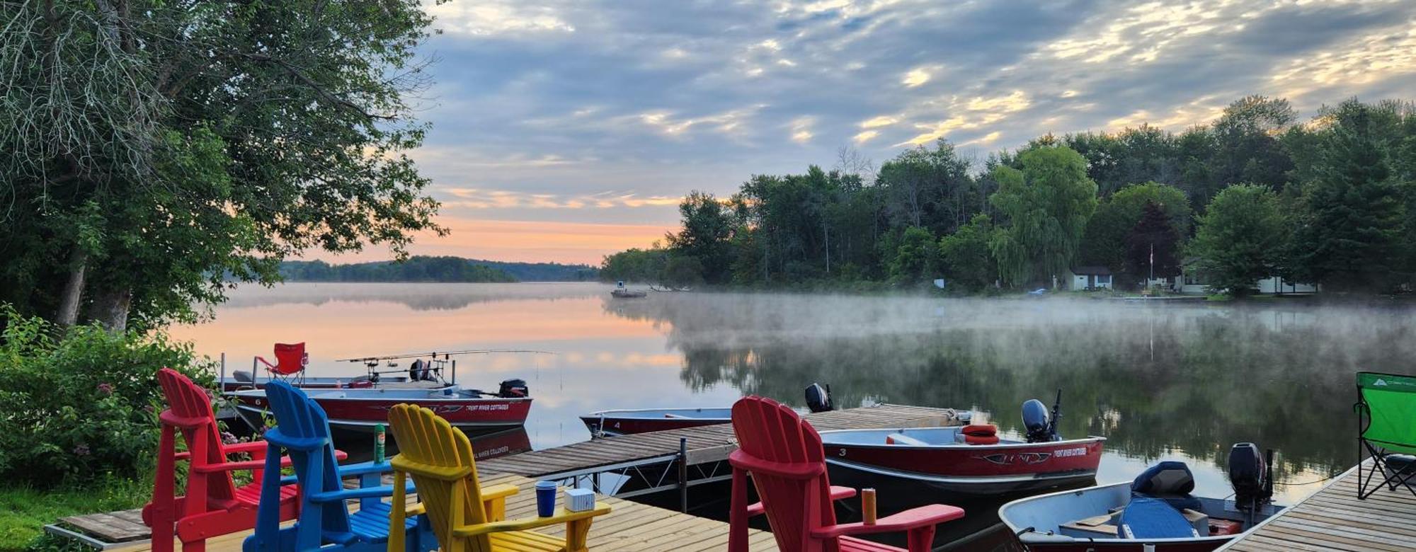 Trent River Cottages Hastings المظهر الخارجي الصورة
