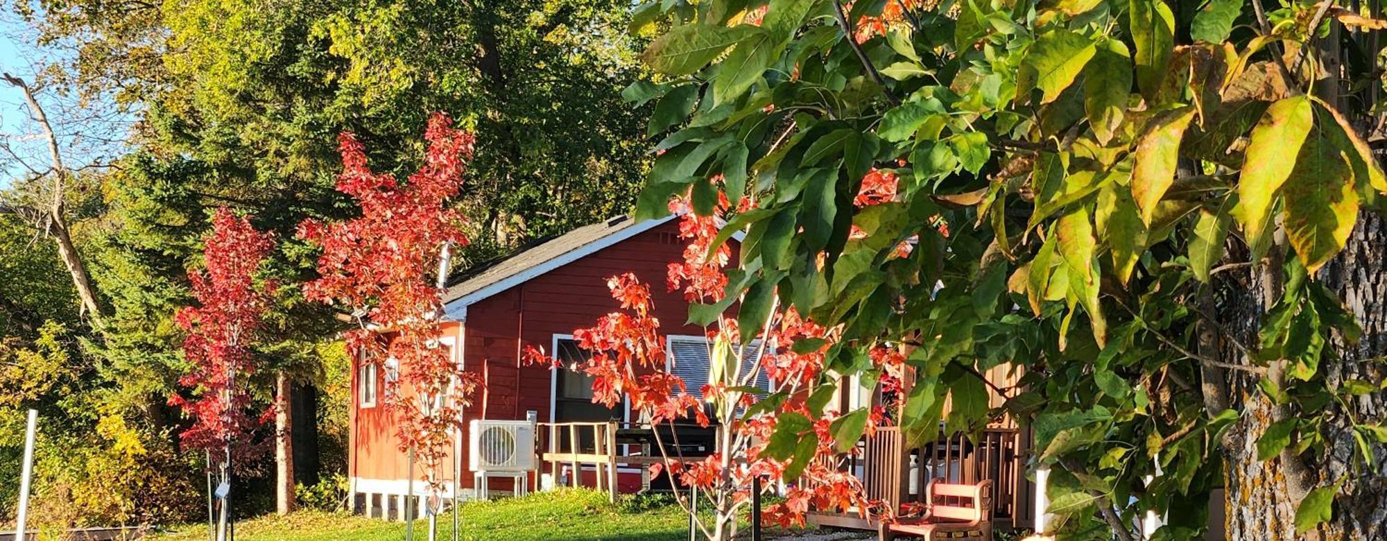 Trent River Cottages Hastings المظهر الخارجي الصورة