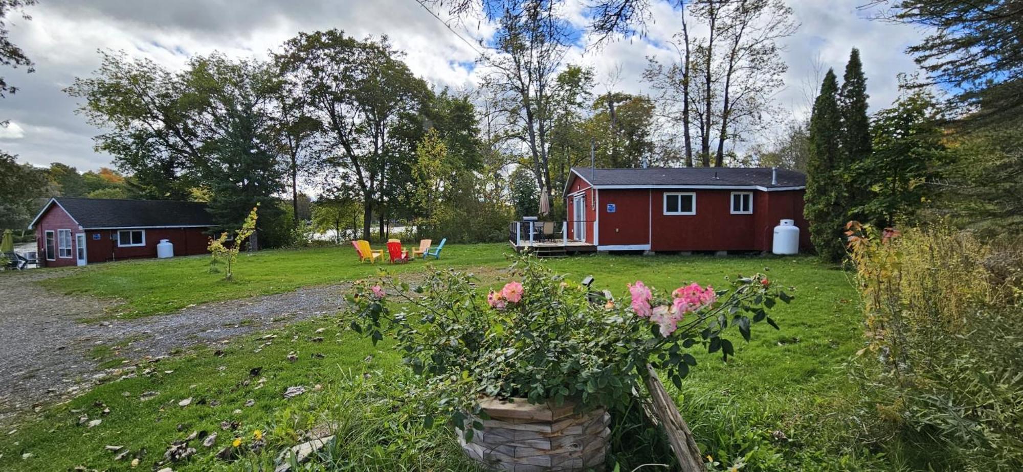 Trent River Cottages Hastings المظهر الخارجي الصورة